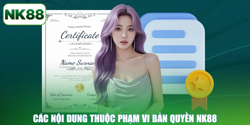 Các nội dung thuộc phạm vi bản quyền NK88
