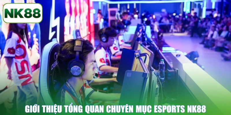 Giới thiệu tổng quan chuyên mục Esports NK88