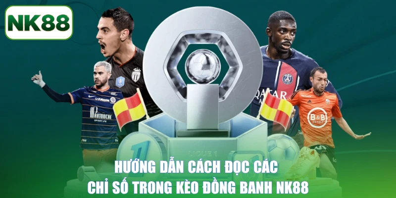 Hướng dẫn cách đọc các chỉ số trong kèo đồng banh NK88