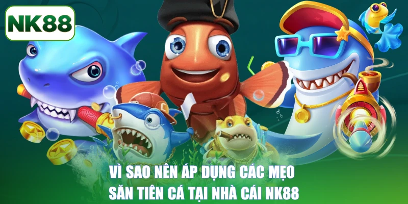 Vì sao nên áp dụng các mẹo săn tiên cá tại nhà cái NK88